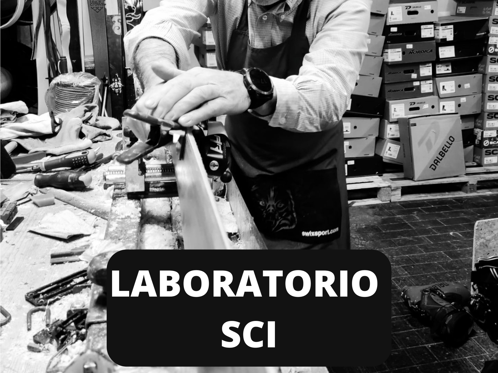 Laboratorio sci